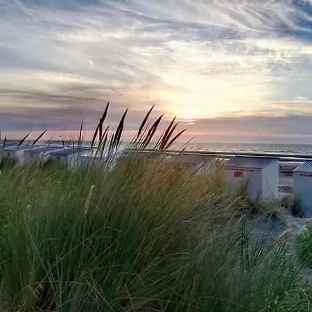 Seayousoon Nieuwpoort-bad