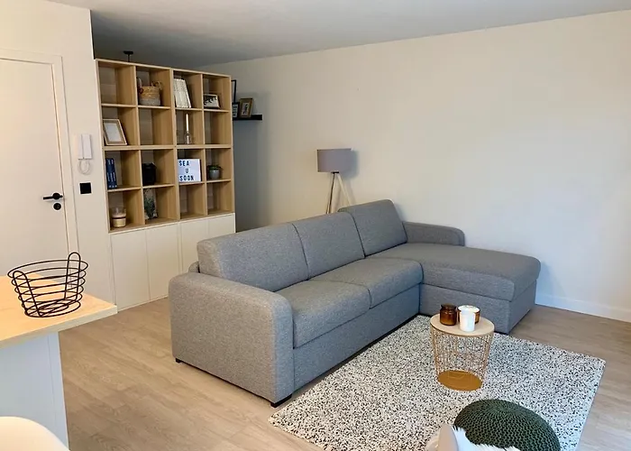 Seayousoon Nieuwpoort-bad * 尼乌波特